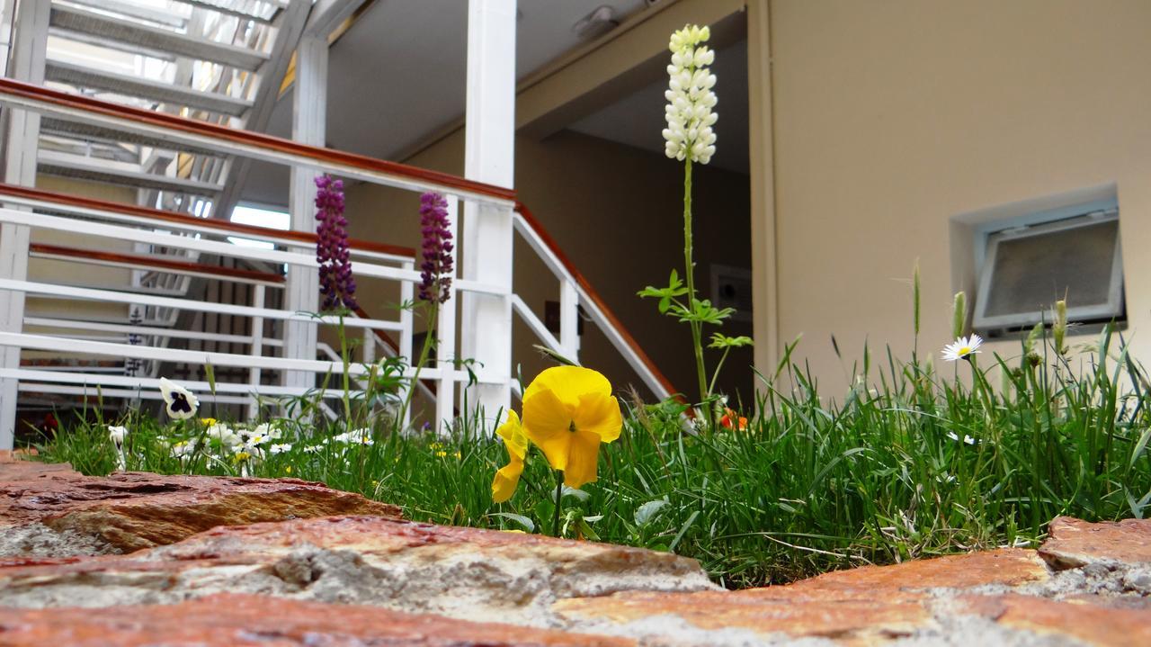 Mi Segunda Casa Apartment อูซัวยา ภายนอก รูปภาพ